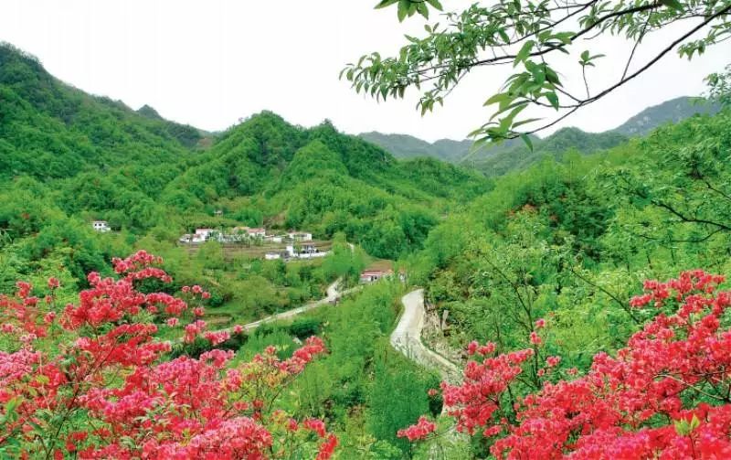 南阳聚力乡村旅游攻坚,南阳市加快文化旅游业发展