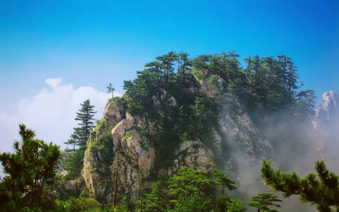 南阳聚力乡村旅游攻坚,南阳市加快文化旅游业发展