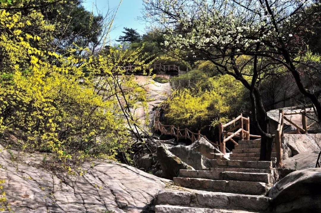 南阳聚力乡村旅游攻坚,南阳市加快文化旅游业发展