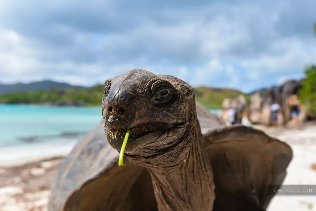 这些海岛人少景美不输马代,马尔代夫一价全包亲子游岛屿推荐