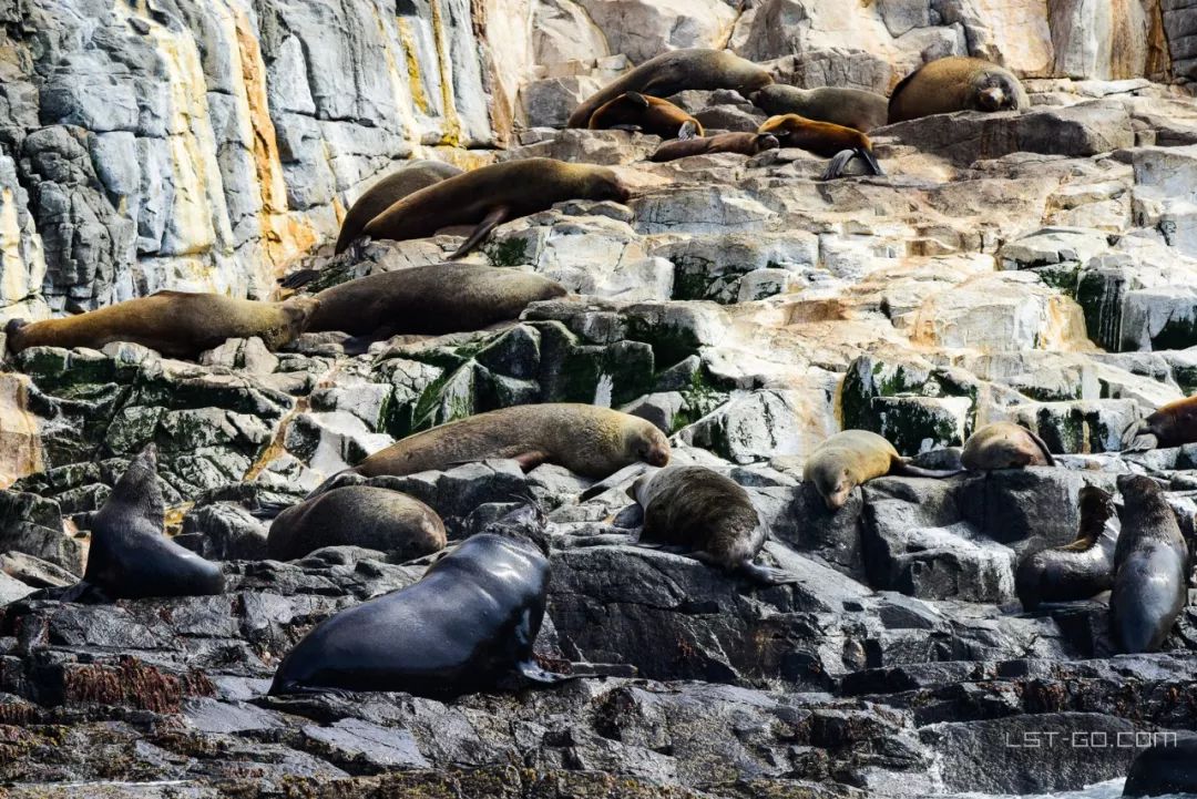 这些海岛人少景美不输马代,马尔代夫一价全包亲子游岛屿推荐