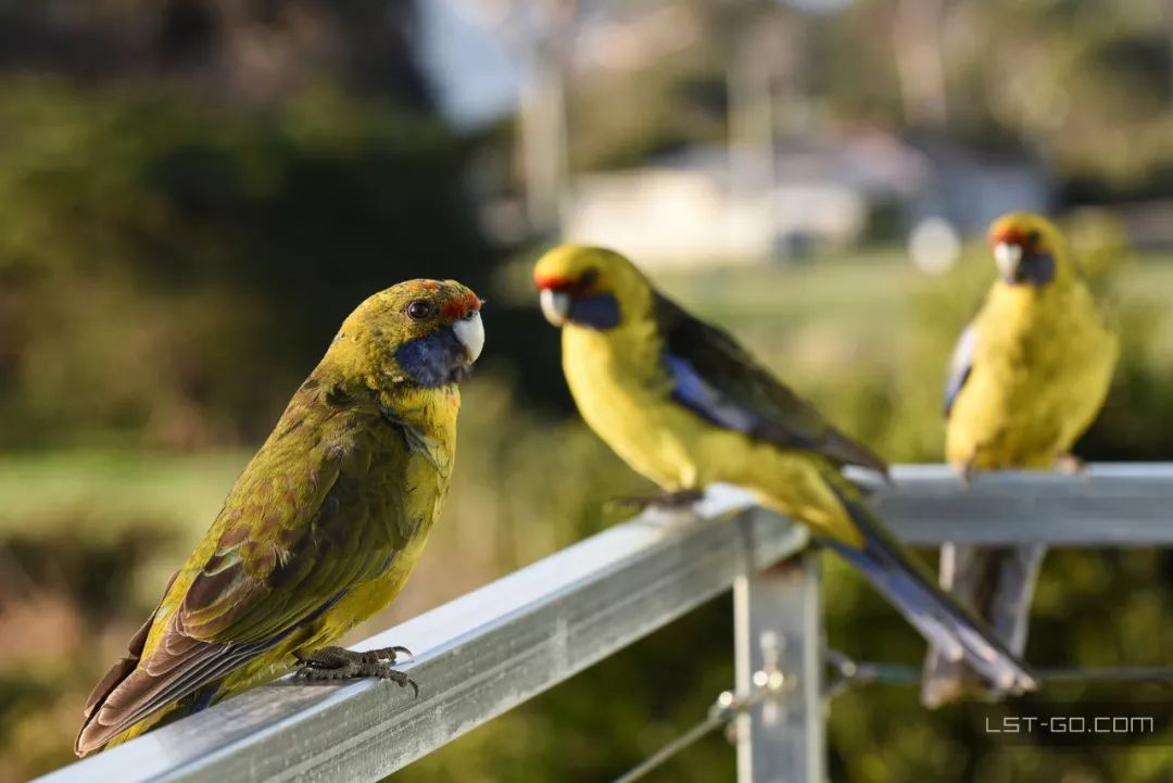 这些海岛人少景美不输马代,马尔代夫一价全包亲子游岛屿推荐