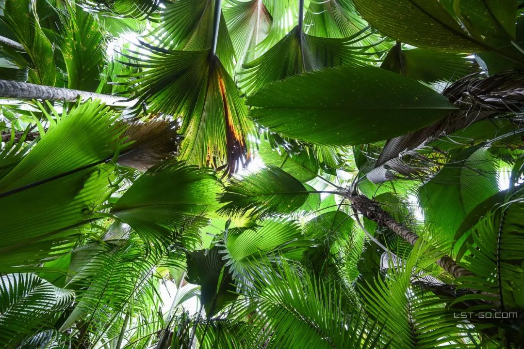 这些海岛人少景美不输马代,马尔代夫一价全包亲子游岛屿推荐