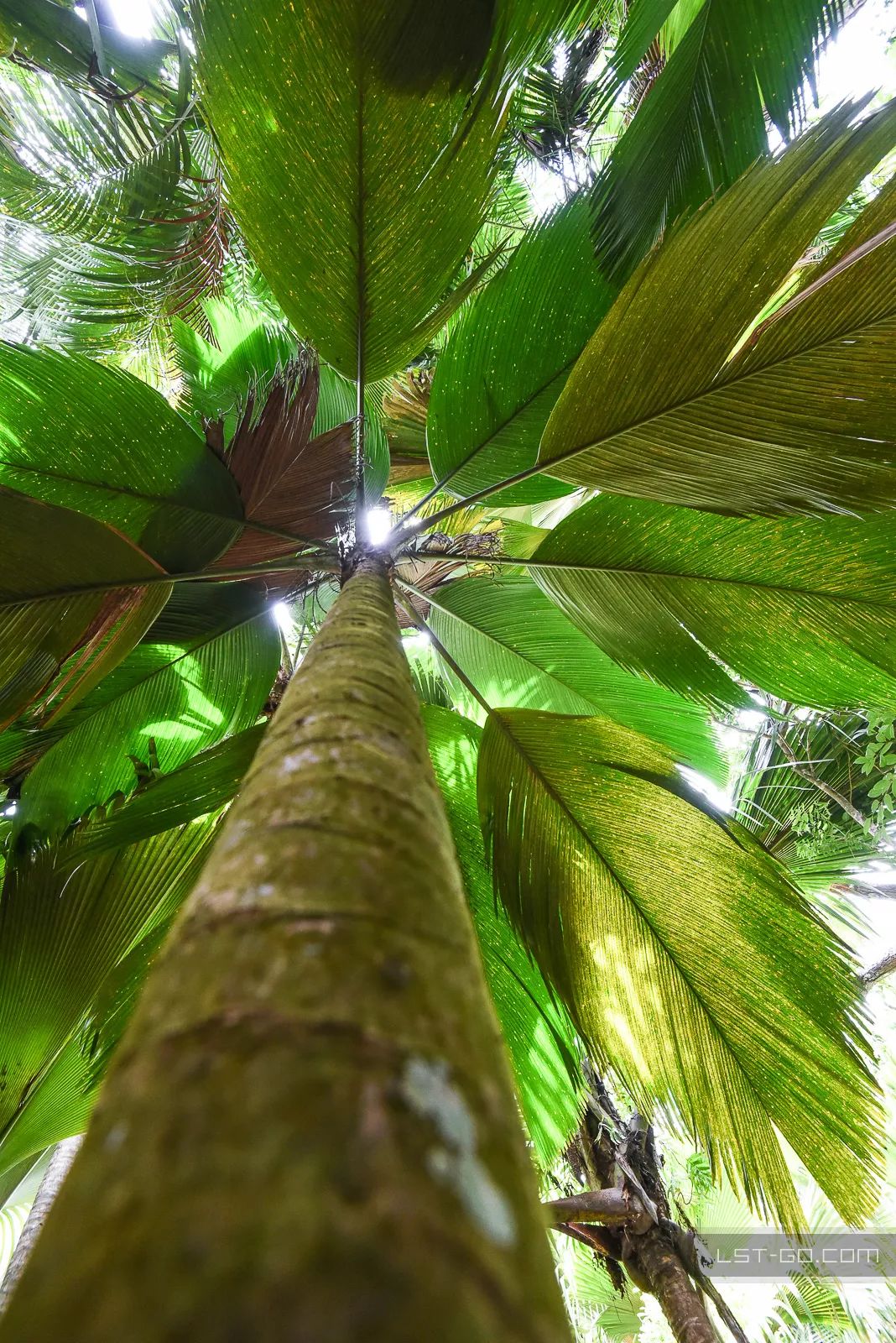 这些海岛人少景美不输马代,马尔代夫一价全包亲子游岛屿推荐