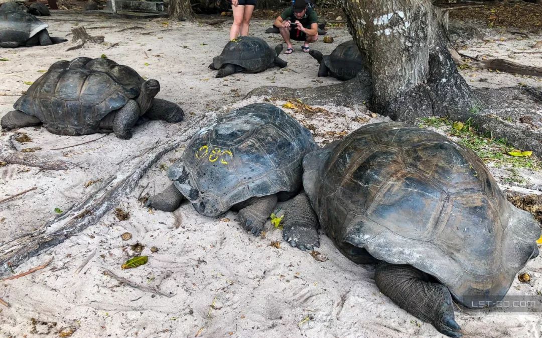 这些海岛人少景美不输马代,马尔代夫一价全包亲子游岛屿推荐