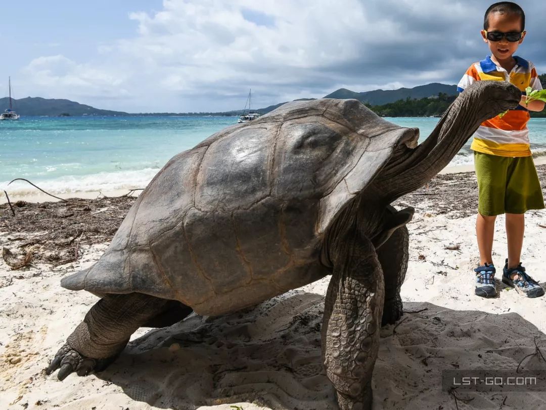 这些海岛人少景美不输马代,马尔代夫一价全包亲子游岛屿推荐