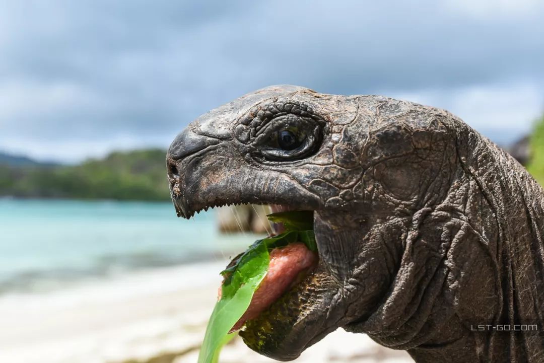 这些海岛人少景美不输马代,马尔代夫一价全包亲子游岛屿推荐