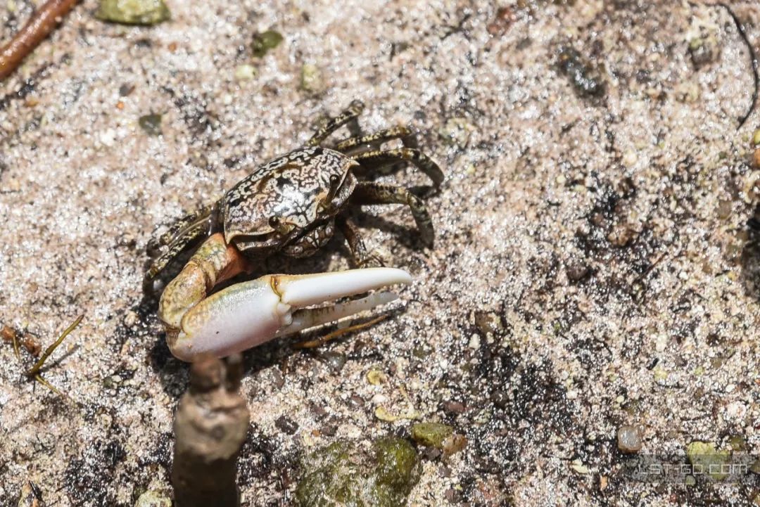 这些海岛人少景美不输马代,马尔代夫一价全包亲子游岛屿推荐
