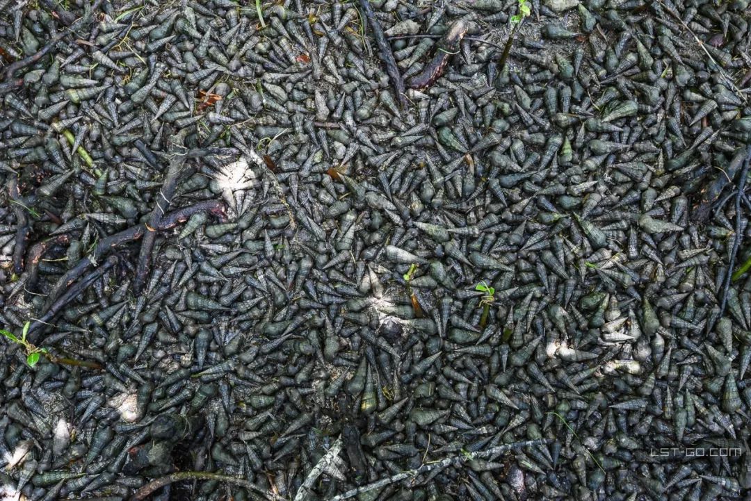 这些海岛人少景美不输马代,马尔代夫一价全包亲子游岛屿推荐