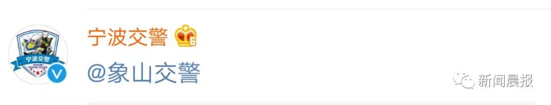 女子开车撞狗怎么判,女子驾车撞狗被判主责