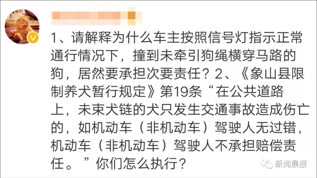 女子开车撞狗怎么判,女子驾车撞狗被判主责