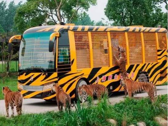 六一亲子游景点推荐上海,上海周末亲子游十大排行榜