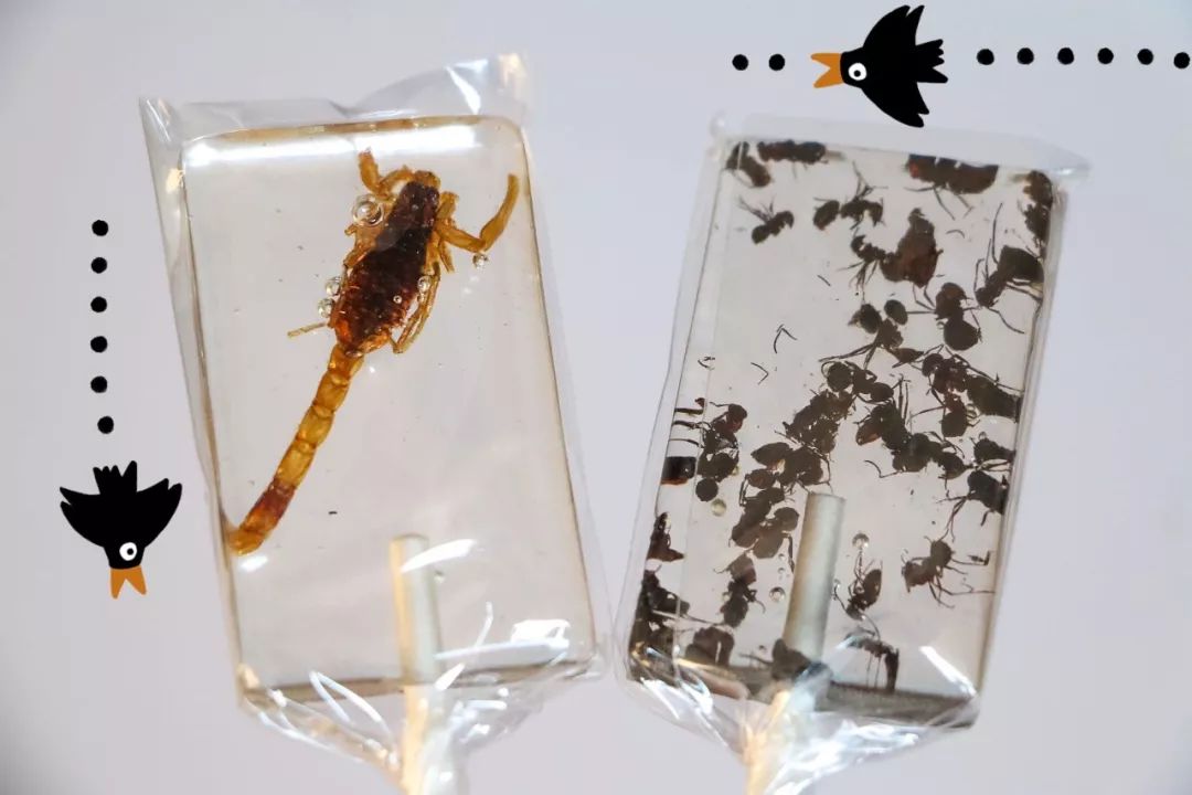 绝交!六一节竟然送我香菜薯片、虫子和卫生巾?