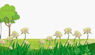 揭秘各种套路谨防上当,紧急提醒小心骗局