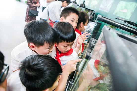 20个足球场多大,20个足球场有多大