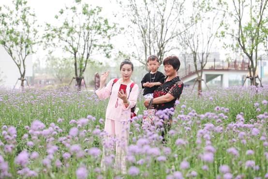 20个足球场多大,20个足球场有多大