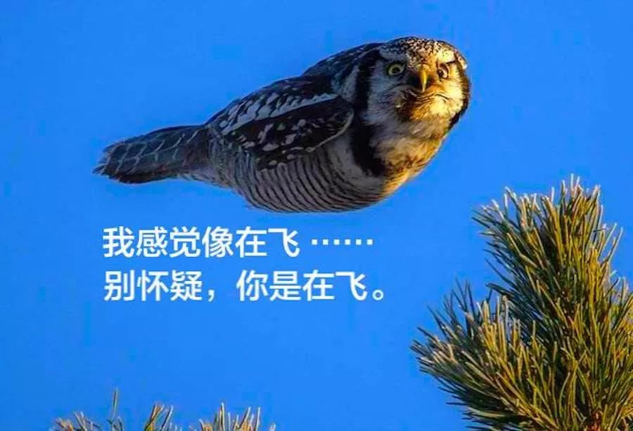 nxp恩智浦黄江,nxp恩智浦待遇