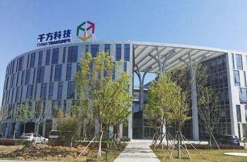 生态观察思考,生态观察和思考