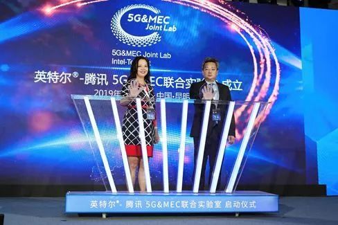 生态观察思考,生态观察和思考