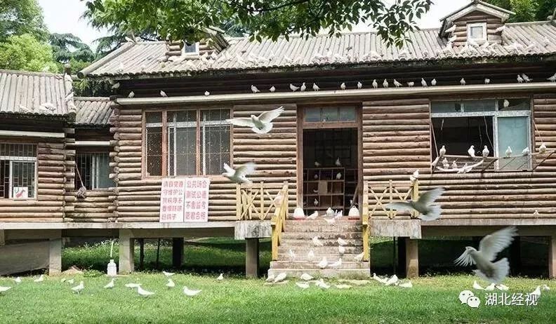 湖北家长六一,武汉下雨带小朋友玩的地方推荐