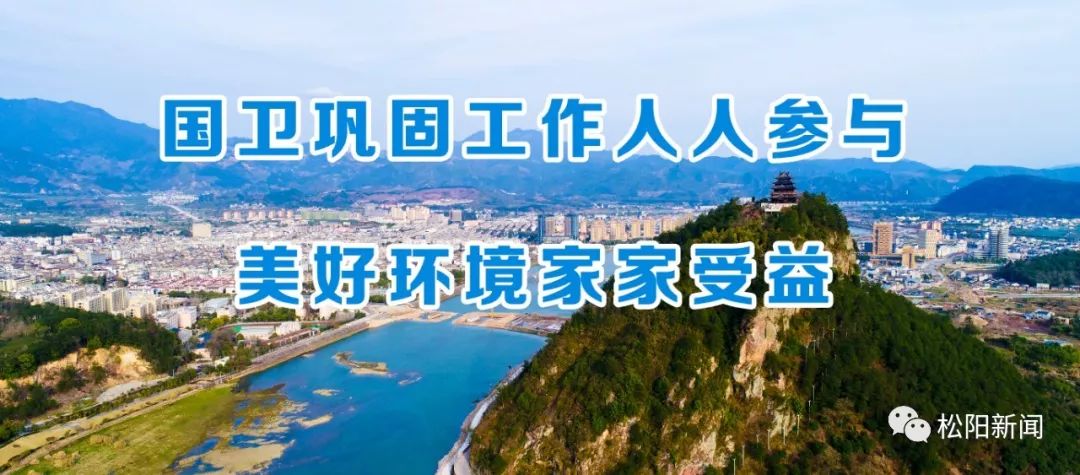 去除甲醛的绿植排行榜,去除甲醛最有效的绿植