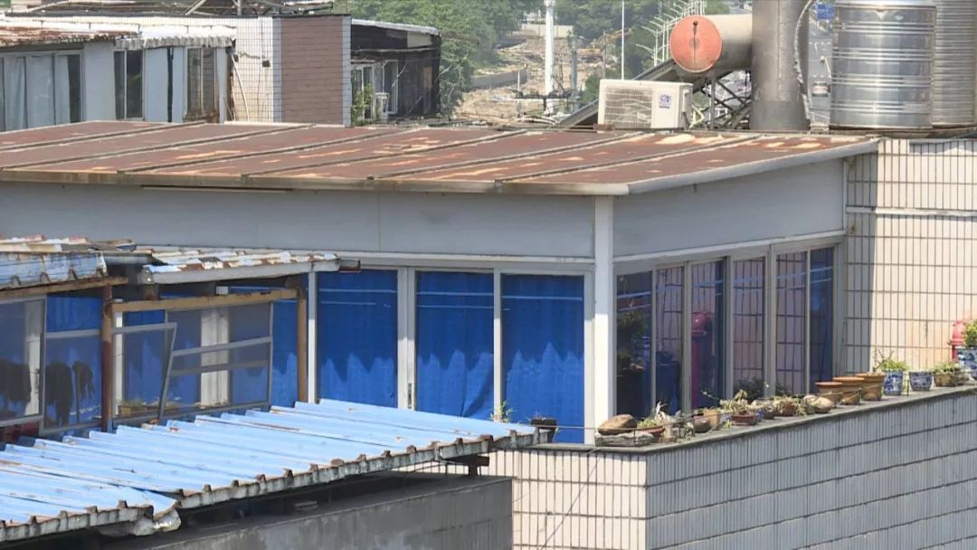 楼中楼最新政策,新政聚焦栏目