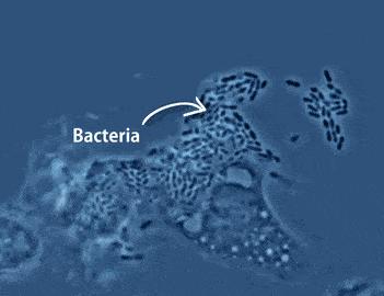 守护健康从每一杯水开始,守护健康从心理开始