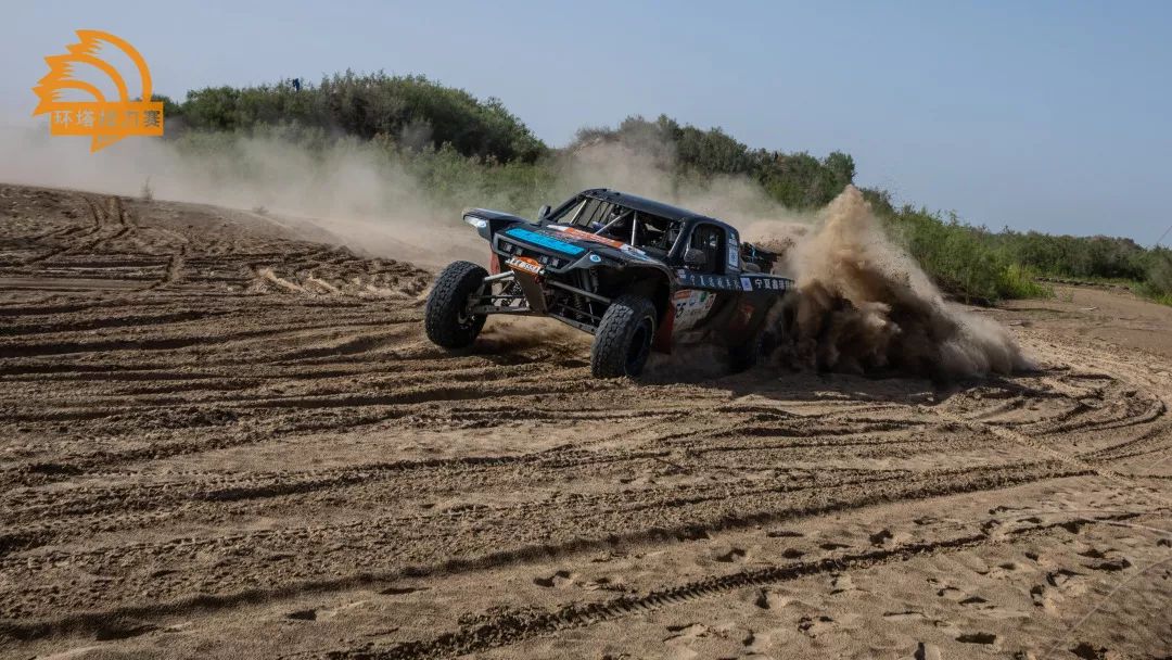 今日互动是什么,今日互动