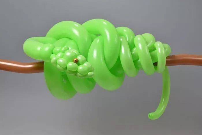 全球最神奇的动物园,日本神奇动物园