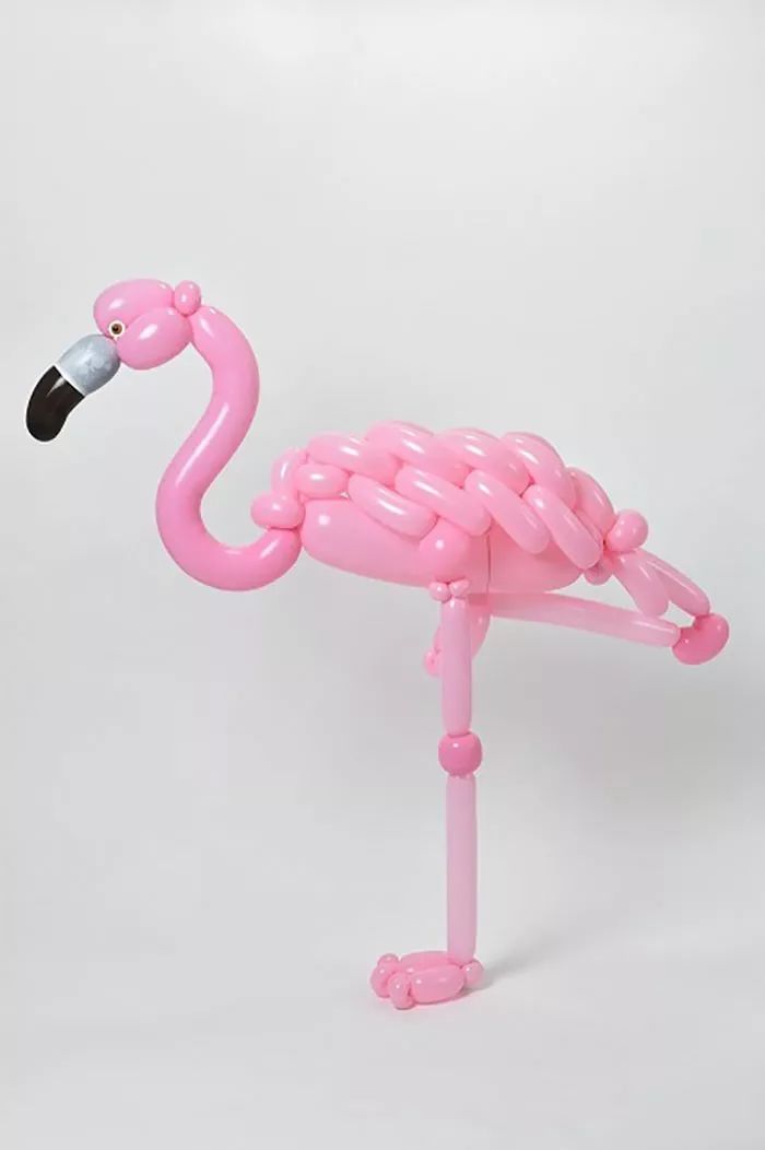 全球最神奇的动物园,日本神奇动物园