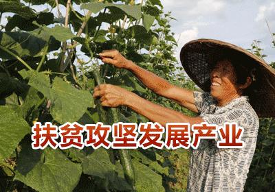 新田哪里停电,永州新田停电最新通知