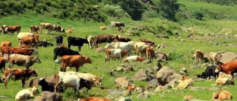 差一分钟没赶上火车,差一秒钟没有赶上高铁