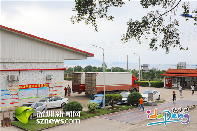 高颜值糖果只需简单食材,甜到心里的奶糖