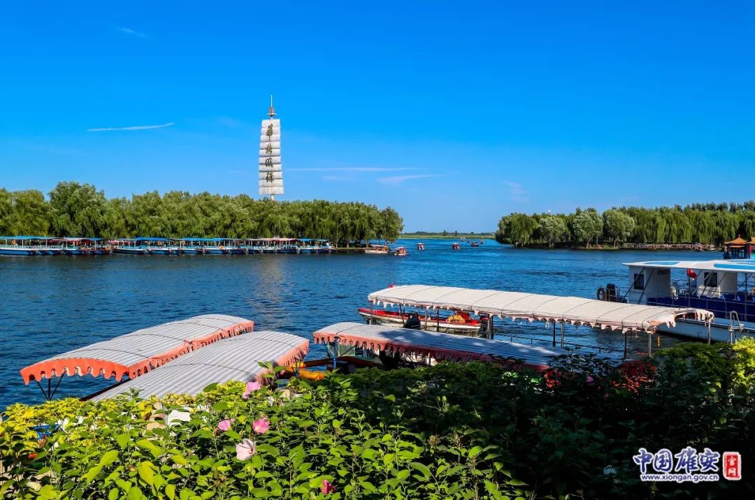 儿童节短诗,每日一诗生日