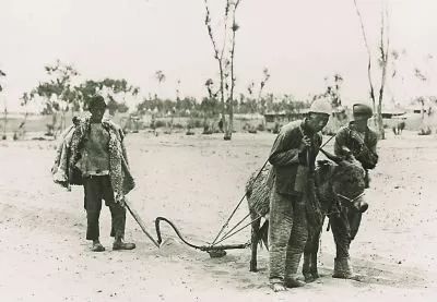 邳州王如坤婚礼视频,邳州民俗研究者王如坤