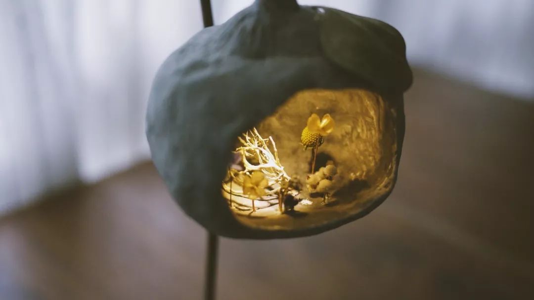 东京三大跳蚤市场,东京最大的跳蚤市场