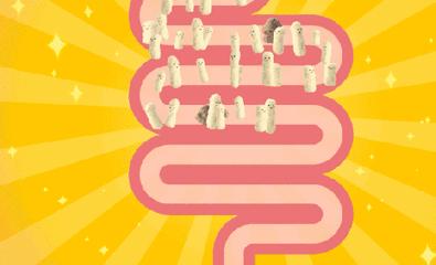 女团3天减肥法居然胖了,女团减肥餐