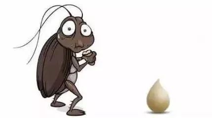 什么武器才能消灭蟑螂,制造消灭蟑螂的大型武器