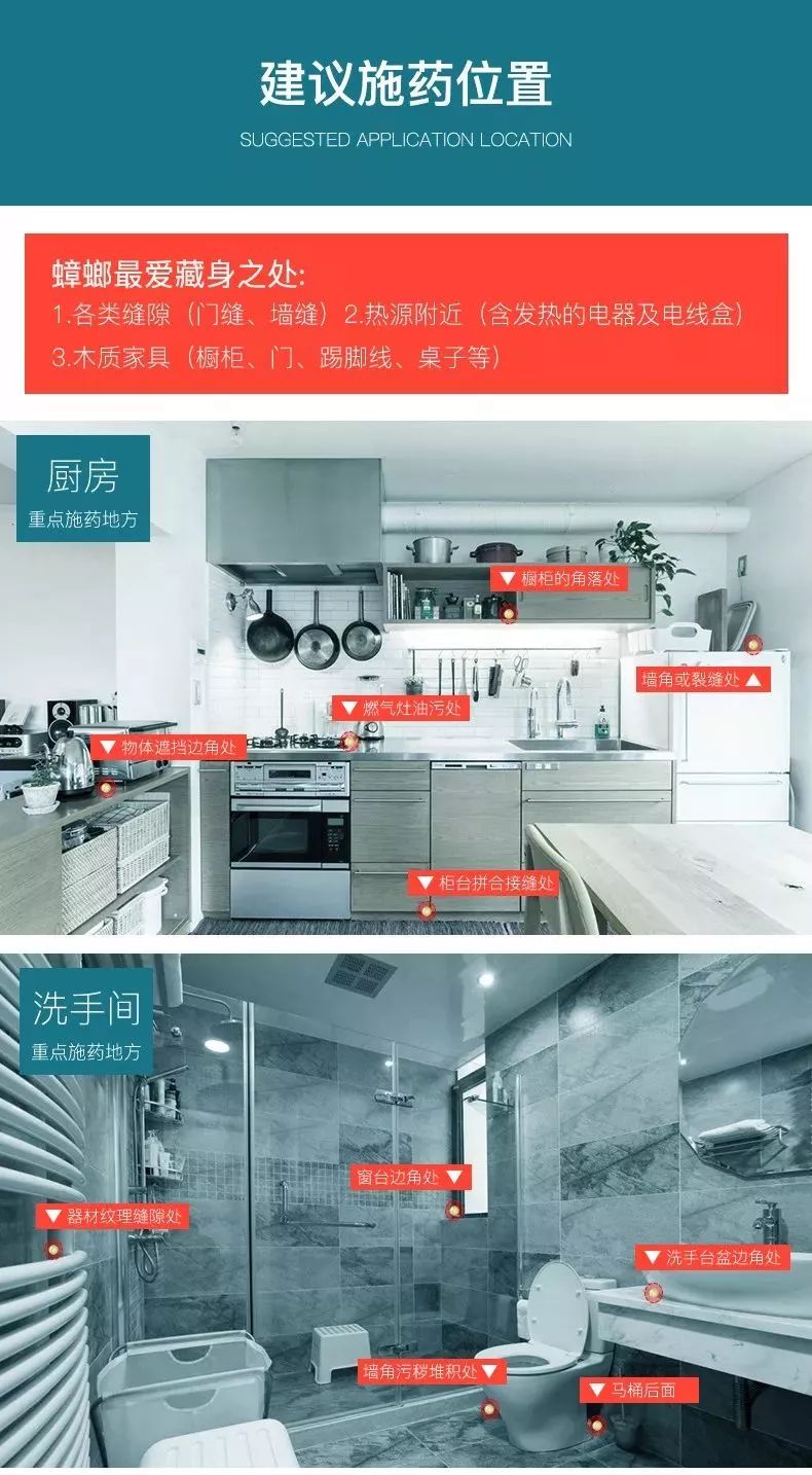 什么武器才能消灭蟑螂,制造消灭蟑螂的大型武器