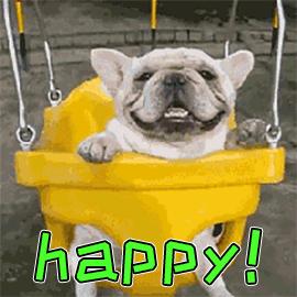 东莞塘厦最近的大型活动,塘厦周末去哪玩推荐