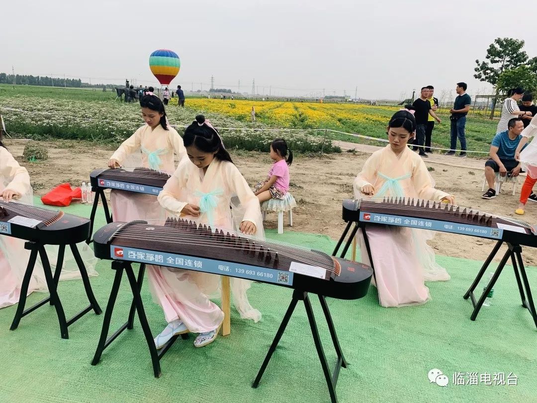 临淄花海公园在哪里,淄博临淄花海攻略