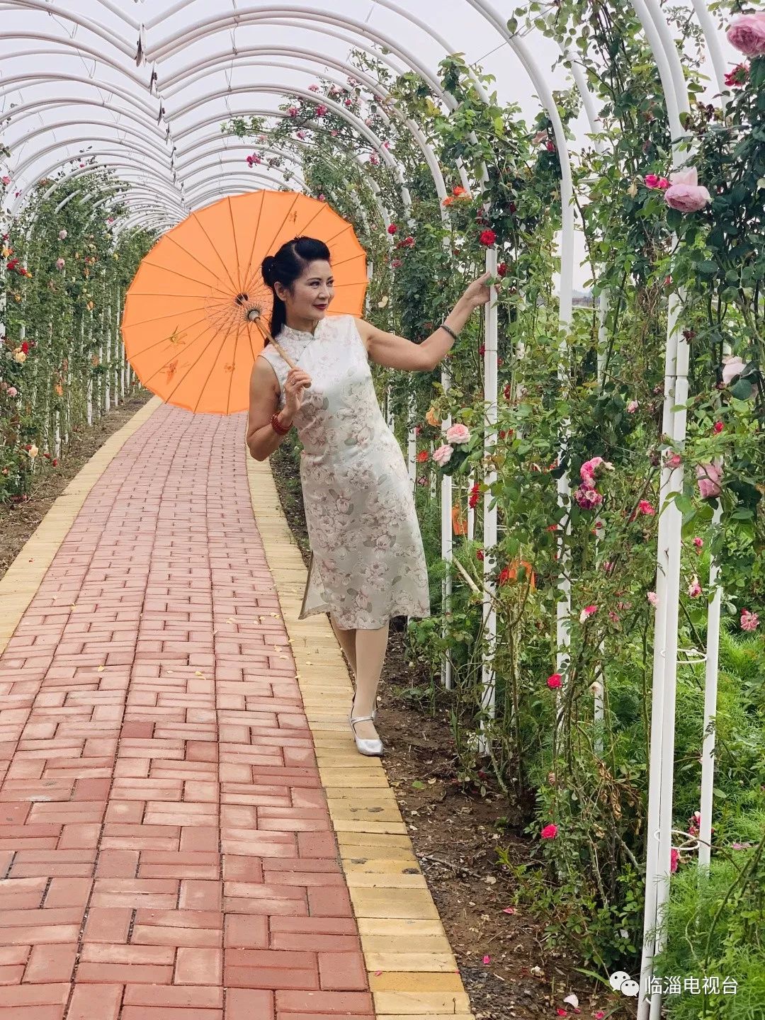 临淄花海公园在哪里,淄博临淄花海攻略