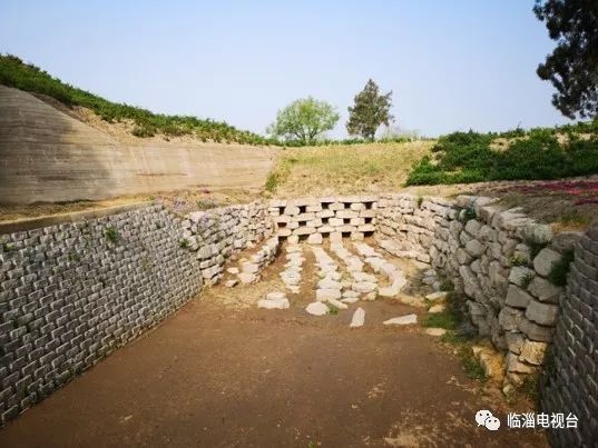 临淄花海公园在哪里,淄博临淄花海攻略