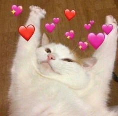 娜扎浓颜系妆,娜扎快乐大本营妆容