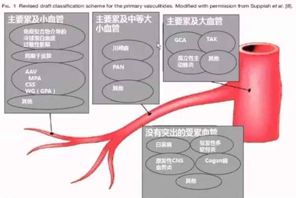 田新平教授,田新平教授怎么不坐诊了