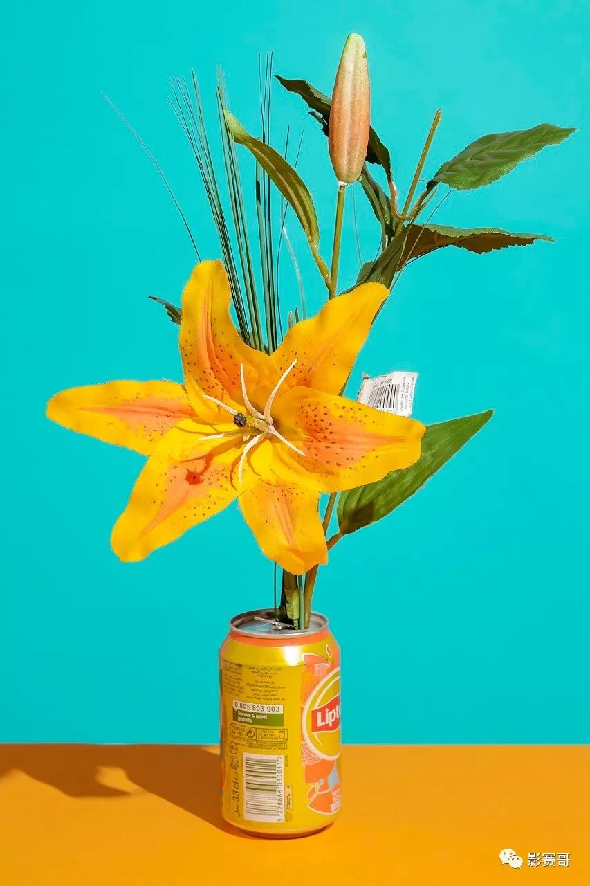 梵高文森特作品大全,文森特梵高的全部作品及介绍