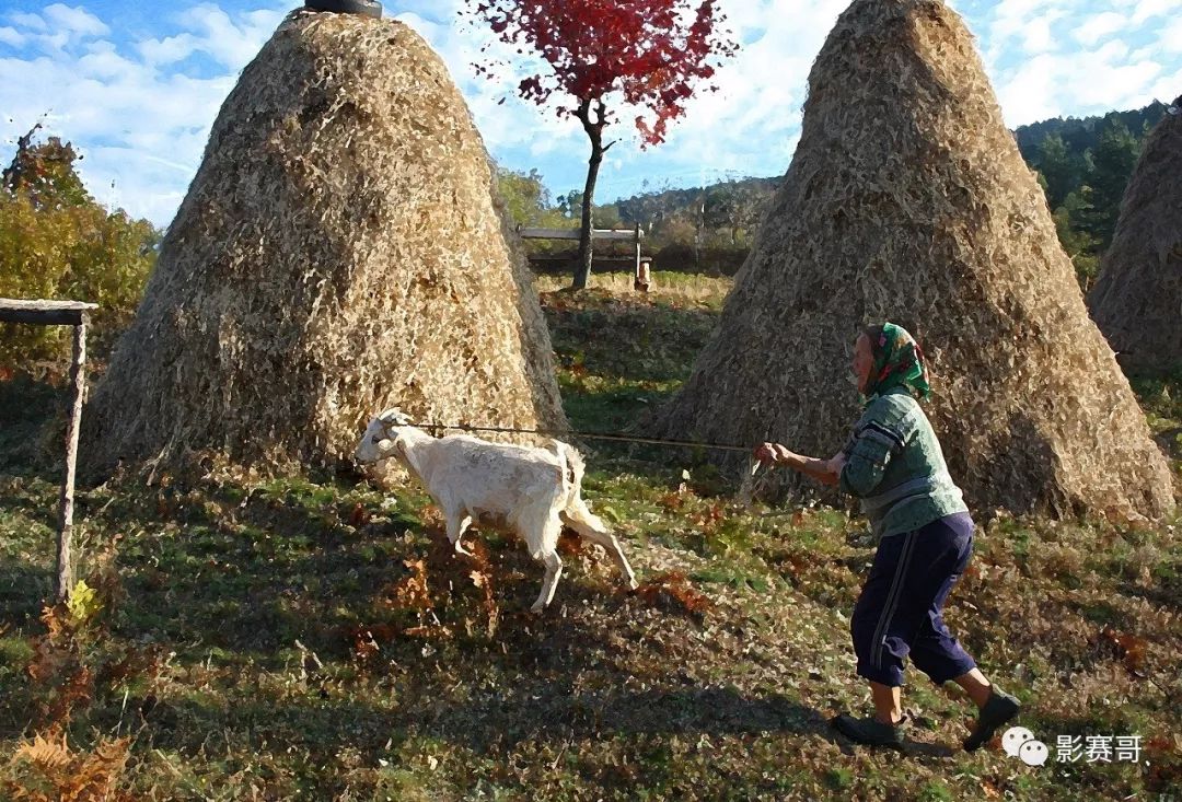 梵高文森特作品大全,文森特梵高的全部作品及介绍