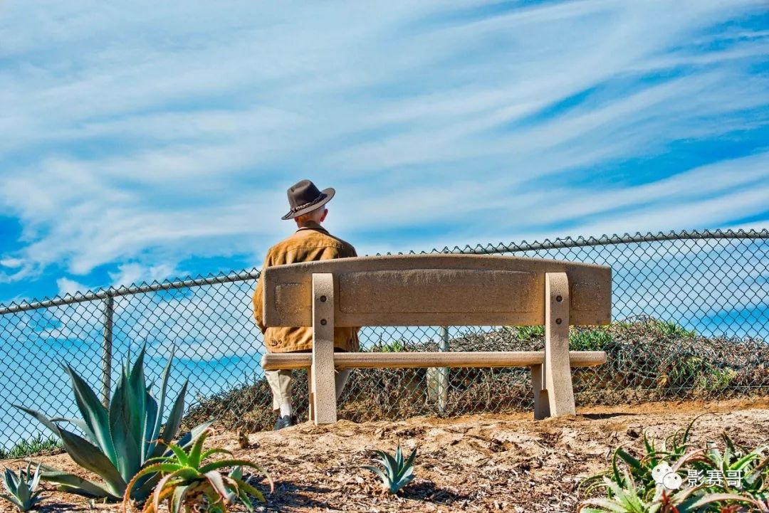 梵高文森特作品大全,文森特梵高的全部作品及介绍