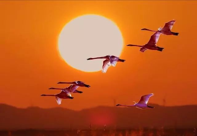 对焦和测光的分离怎么拍摄照片,拍照对焦技巧有哪些图片