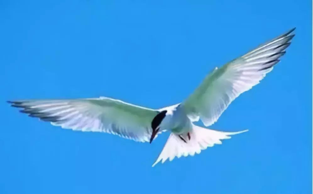 对焦和测光的分离怎么拍摄照片,拍照对焦技巧有哪些图片